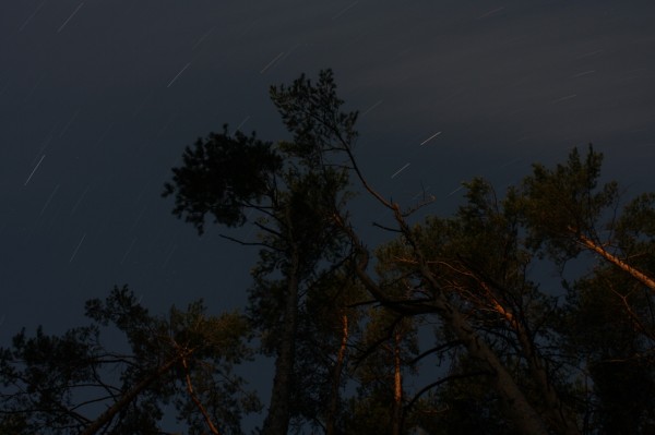 Star trails
